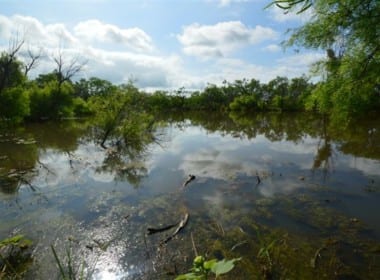 481 acres in Throckmorton County