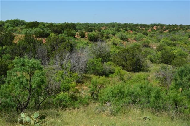598 acres in Baylor County