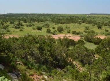 679 acres in Hardeman County