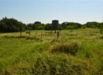 801 acres in Stephens County