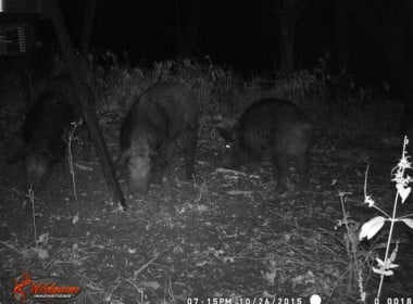 25 acres Red River County