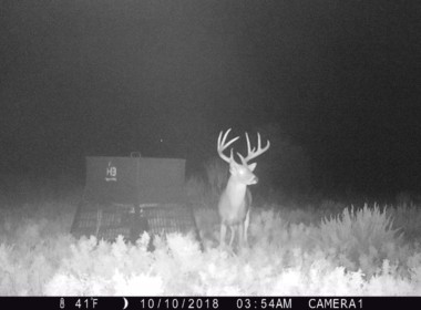 104 acres in Wilbarger County