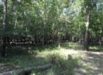 131 acres in Red River County