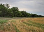 208 acres in Knox County