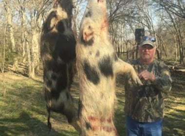 160 acres in Stephens County