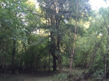 66 acres in Red River County