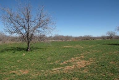 546 acres in Baylor County