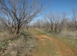 546 acres in Baylor County