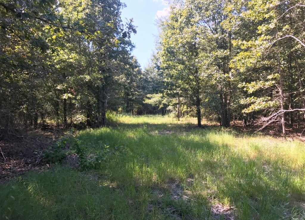 300 acres in Franklin County