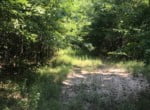 61 acres in Red River County