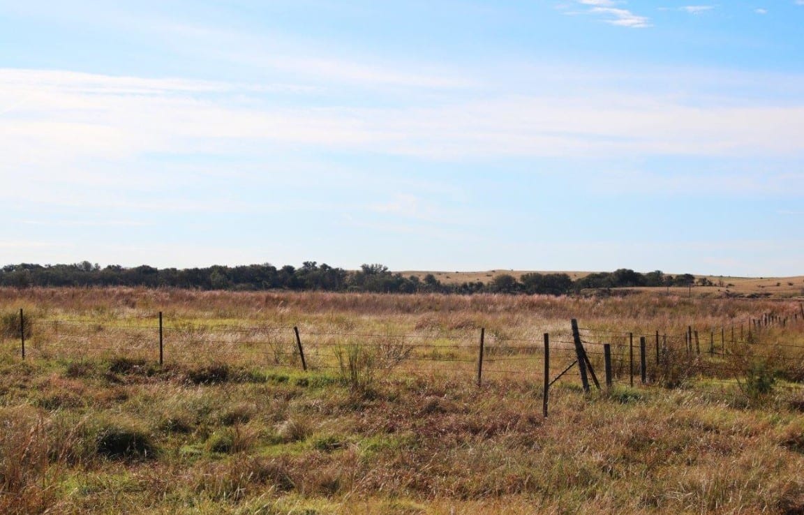 251 acres in Wichita County