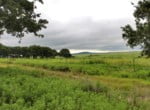 630 acres in Montague County
