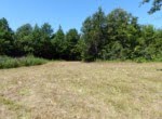 53 acres in Titus County