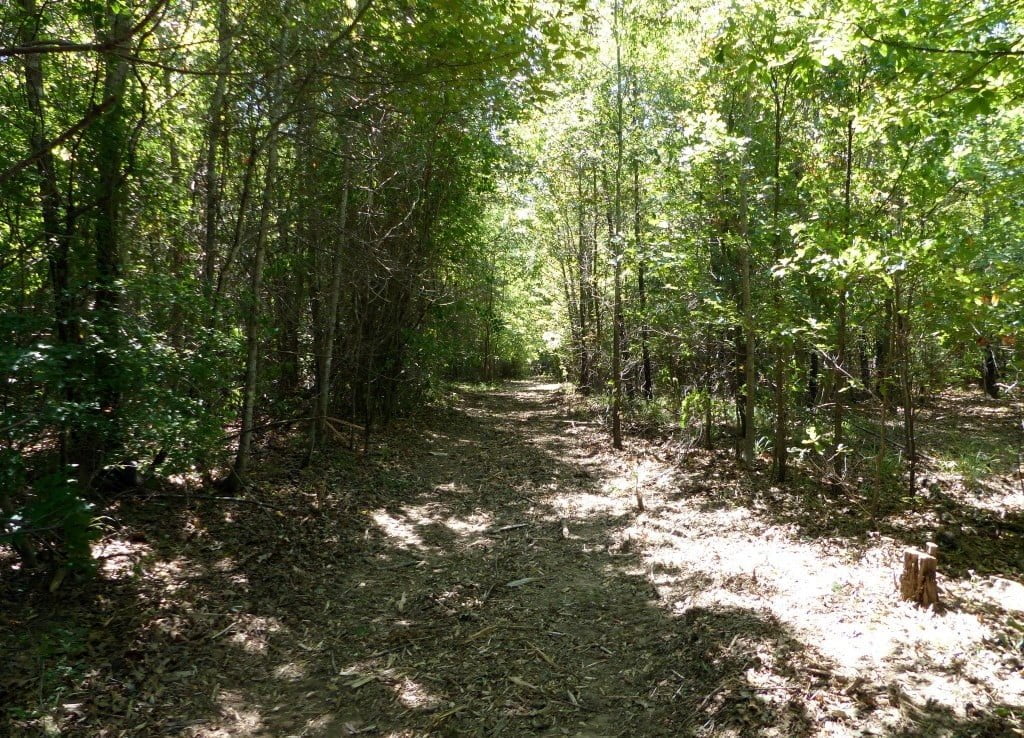 53 acres in Titus County