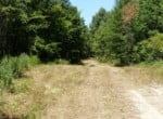 26 acres in Titus County