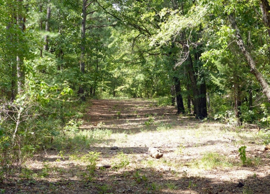 621 acres in Red River County