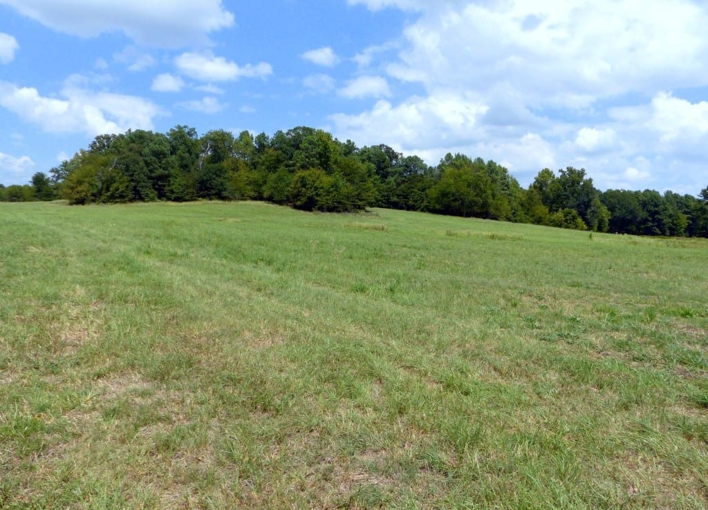 621 acres in Red River County