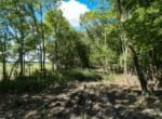 55.7 acres in Red River County