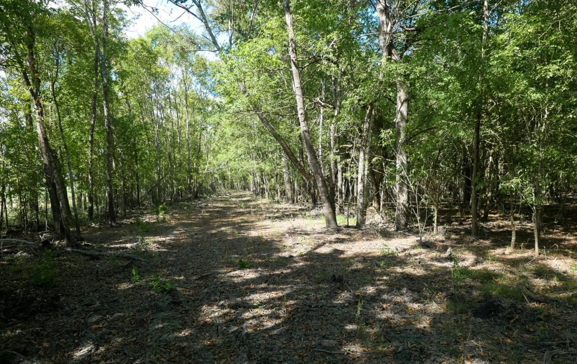 62.3 acres in Red River County