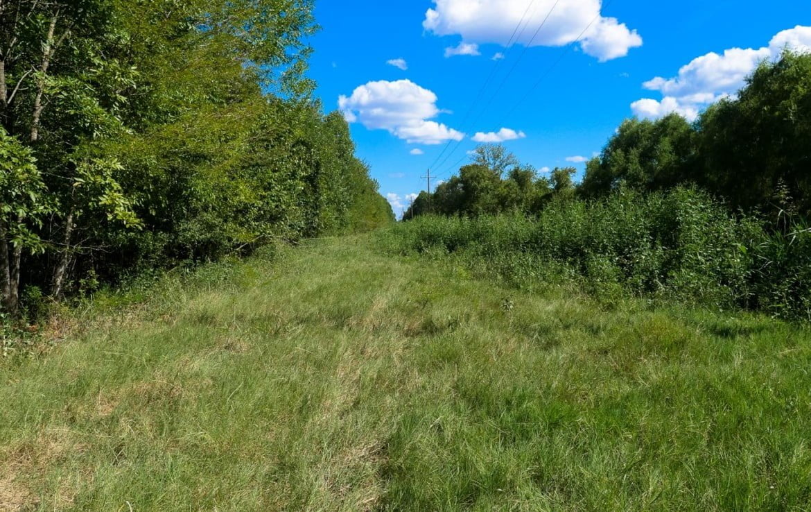 62.3 acres in Red River County
