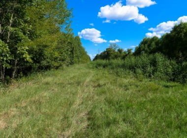 62.3 acres in Red River County