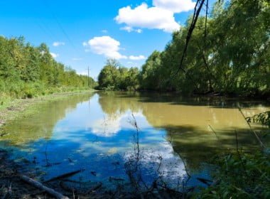 55.7 acres in Red River County