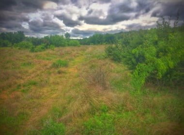 419 acres in Palo Pinto/Stephens County