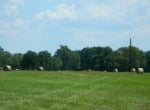 49 acres in Red River County