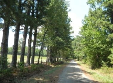 49 acres in Red River County