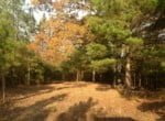 40.5 acres in Red River County