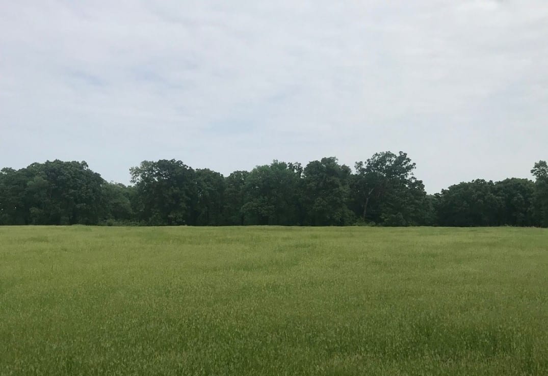 673 acres in Bowie County
