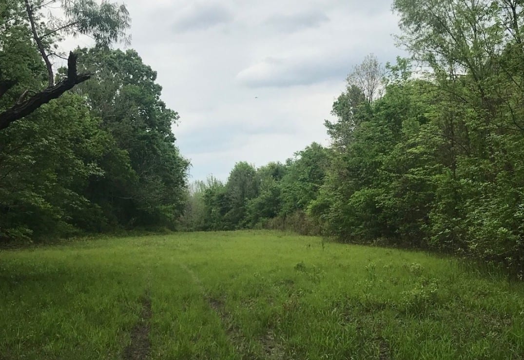 673 acres in Bowie County