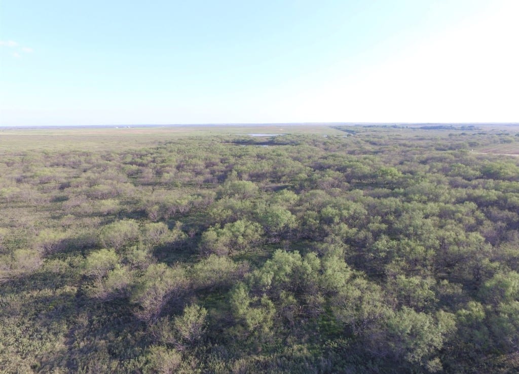 1,145 acres in Clay County
