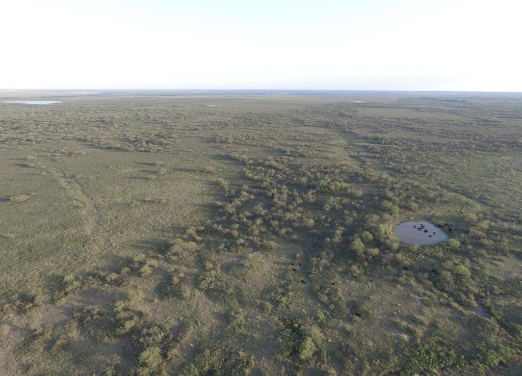 1,145 acres in Clay County