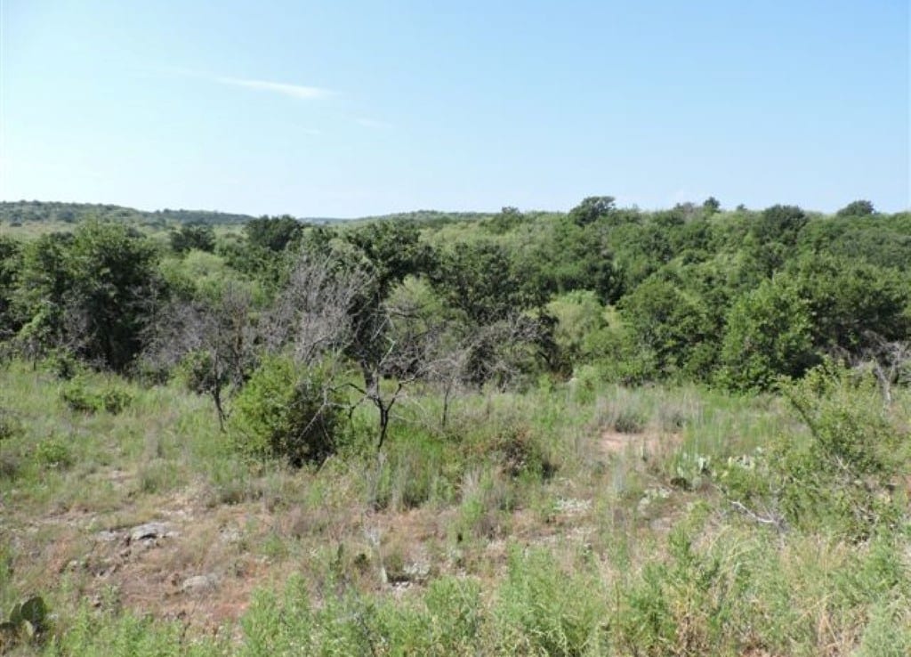 1,246 acres in Jack/Young County