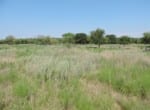 1,246 acres in Jack/Young County