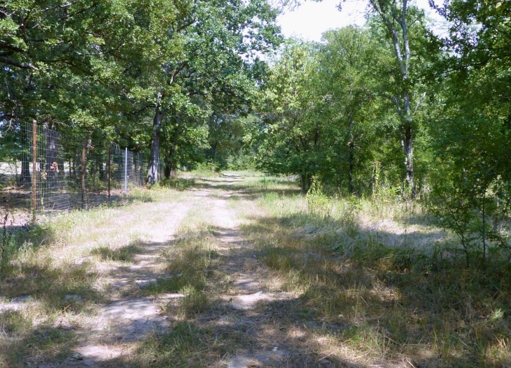 339 acres in Hopkins County