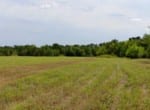 339 acres in Hopkins County