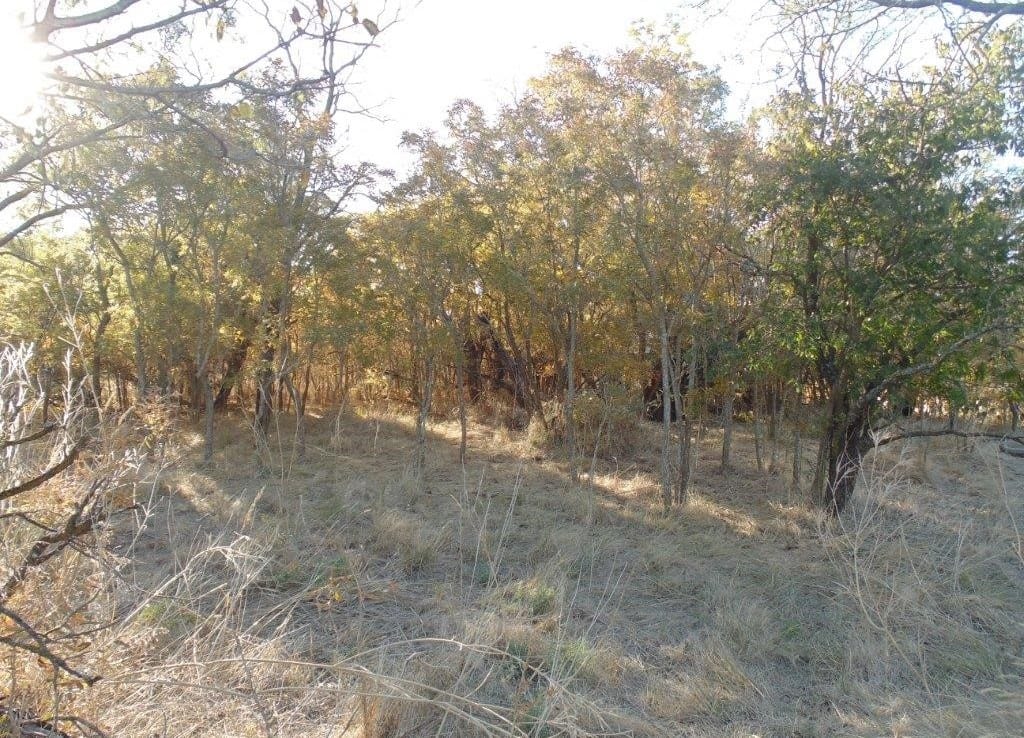 20 acres in Runnels County
