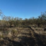 20 acres in Runnels County