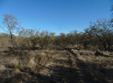 20 acres in Runnels County