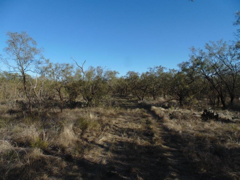 20 acres in Runnels County Texas for Sale