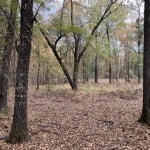 21 acres in Red River County