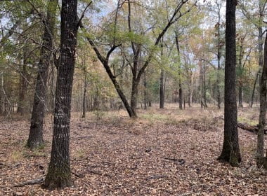 21 acres in Red River County