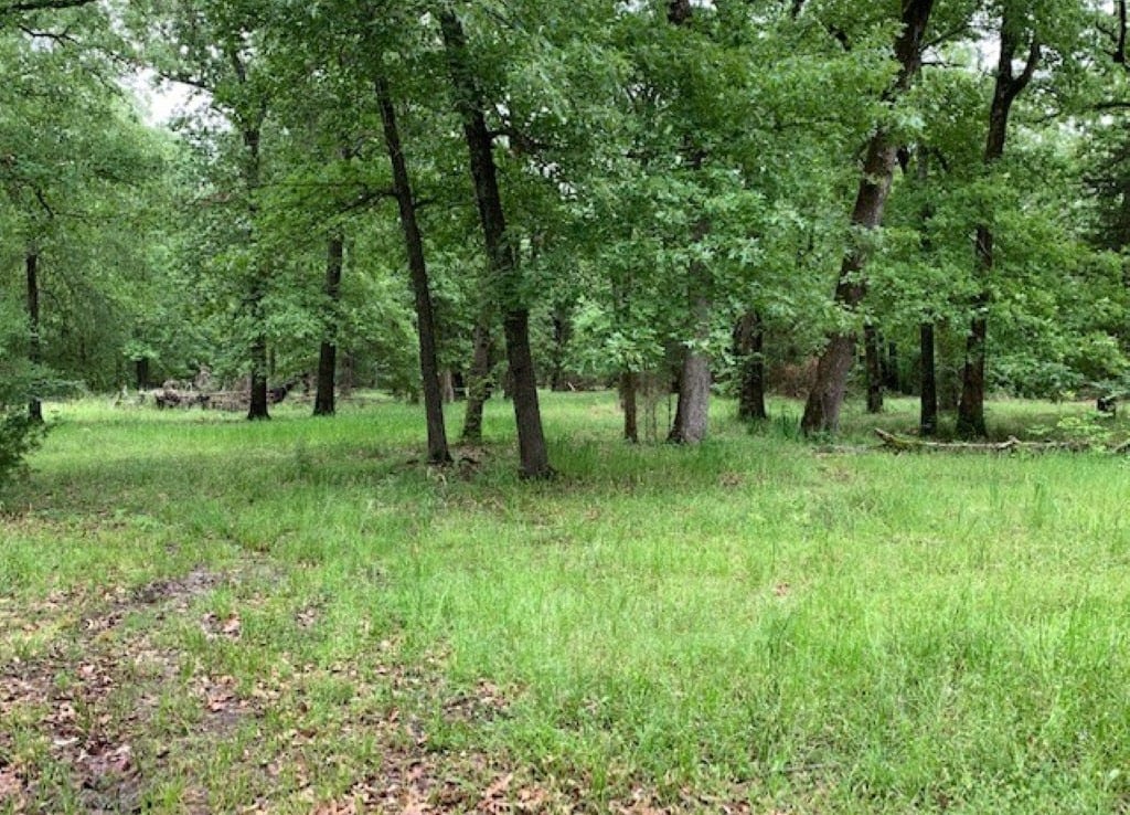 20 acres in Red River County