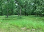 20 acres in Red River County