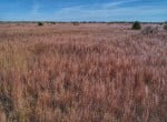 583 acres in Wilbarger County