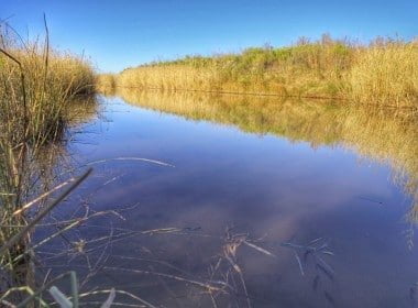 583 acres in Wilbarger County