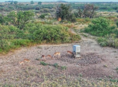 810 acres in King County