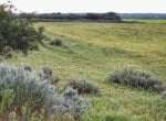 861 acres in King/Cottle Counties